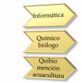 /album/galeria-de-imgenes/especialidad-png1/
